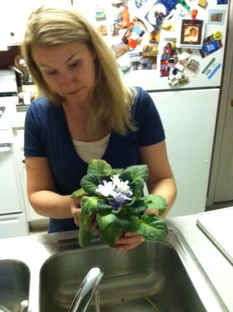 English teacher Jillian Bowen cares for her mom’s favorite type of flowers, African Violets .  Bowen’s mother passed away last year, but Bowen said she and her brothers and sisters will honor her memory by keeping the Mother’s Day tradition of eating at a Mexican restaurant.
