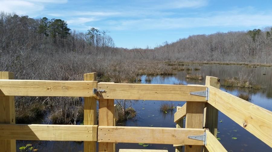 A gate at the end of the bridge allows students to observe the pond more closely. 