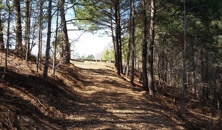 The nature trail ends where the student parking lot and Panther Path connect. 