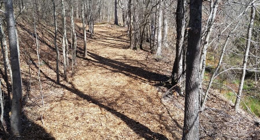 The new nature trail begins behind the left side of the student parking lot.  