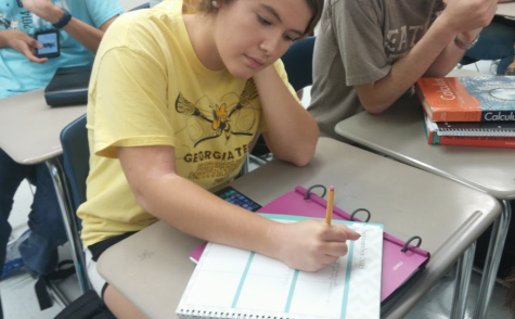 A senior updates her planner with her homework obligations and upcoming tests. She takes Advanced Placement classes, participates in orchestra and lacrosse and has a part-time job.