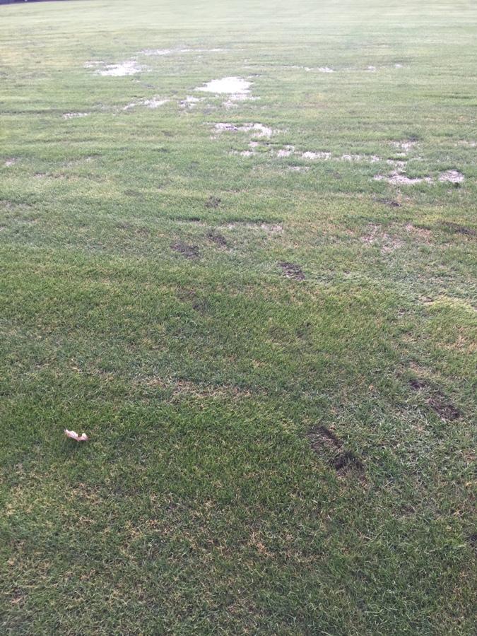 The outfielders’ footprints create tracks in the field filled with water. The excessive rainfall in January led to the field being muddy and unusable, and head coach Brent Moseley is redirecting the current home games to Newnan. 
