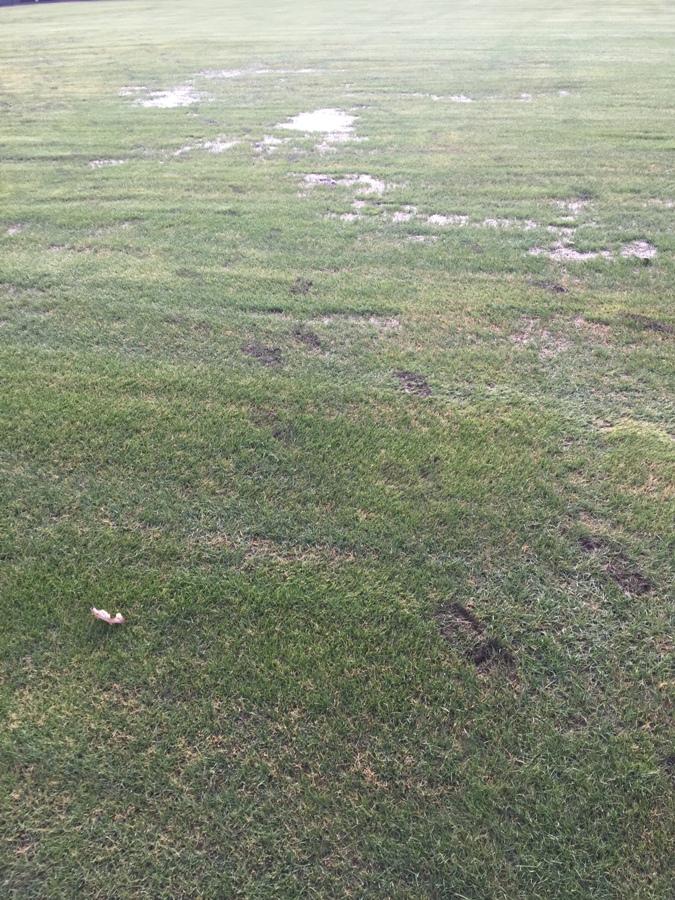 The outfielders’ footprints create tracks in the field filled with water. The excessive rainfall in January led to the field being muddy and unusable, and head coach Brent Moseley is redirecting the current home games to Newnan.