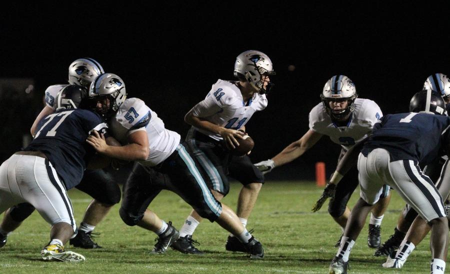 Junior quarterback Joey DeLuca hands the ball off to Gilley. The Panthers gained 270 total rushing yards in the loss to the Cougars.