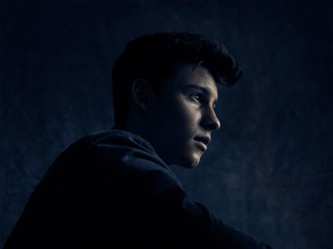 Shawn Mendes’ album, “Illuminate,” released September 2016, shares his pleasantly unique twist on pop music. “Illuminate,” an excellent combination of pop and originality, will be featured on his world tour starting March 2017. 