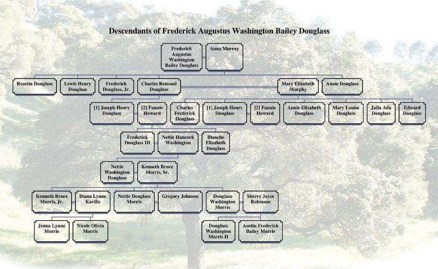 A pedigree chart displays junior Doug Morris’ extensive family line. Morris has ties to Frederick Douglass and Booker T. Washington, whose bloodlines combined through his great grandmother, Nettie Hancock Washington, and great grandfather, Frederick Douglass III.