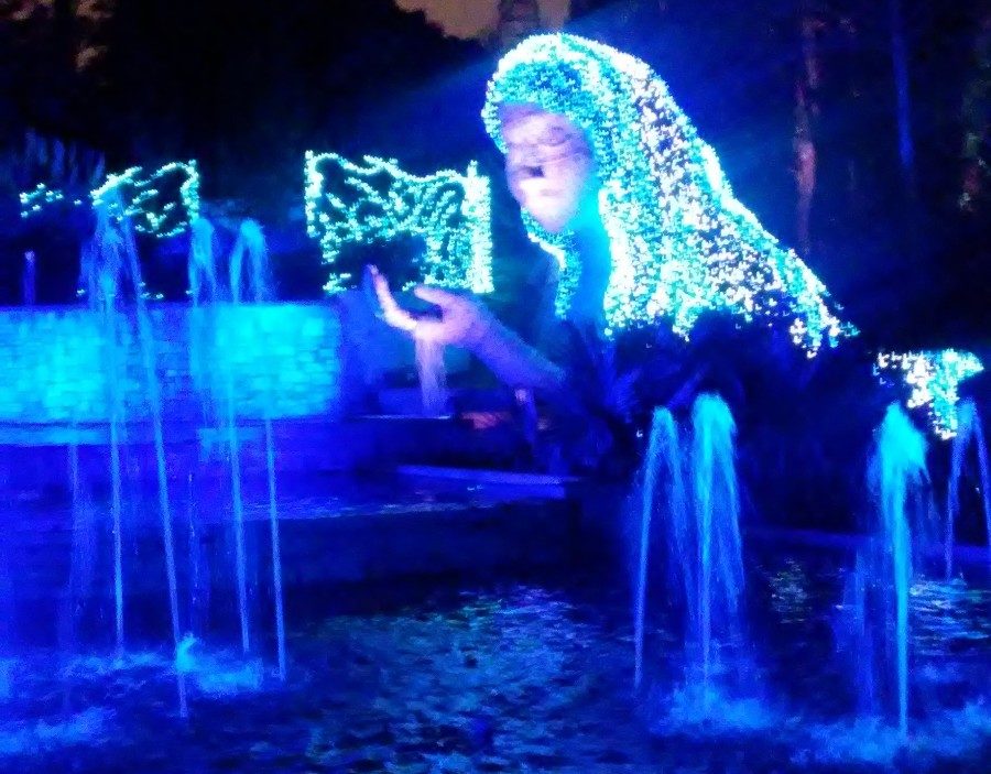 The Atlanta Botanical Gardens is holding their seventh annual Garden Lights show from Nov. 11 to Jan. 7. People that have visited the gardens during the day may remember the huge mother nature sculpture. This magnificent sculpture proves just as stunning while covered in blue and white lights at night. 