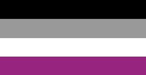 The asexual flag. Many people don’t know what this flag is or what it represents -- a group of people who are forgotten and insulted for their sexual orientation.