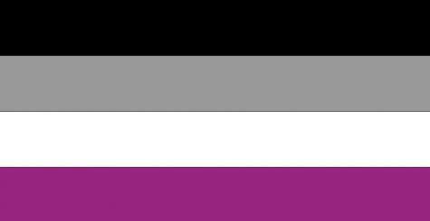 The asexual flag. Many people don’t know what this flag is or what it represents -- a group of people who are forgotten and insulted for their sexual orientation.