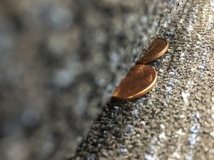 The pennies being swallowed by the couch represents the issue of one’s thoughts being oppressed with the desire to keep the peace at a time when discussion may be imperative. No matter how out there a thought or opinion may be, it must be shared if the desire is there. 