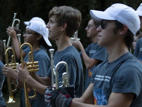 The Panther Pride marching band performs during the 2018 Homecoming parade. Each high school performs in Fayetteville’s MLK day parade on a five-year rotation. The Starr’s Mill band will play “We are the World” to commemorate Martin Luther King Jr.’s in this year’s parade held on Jan. 21.