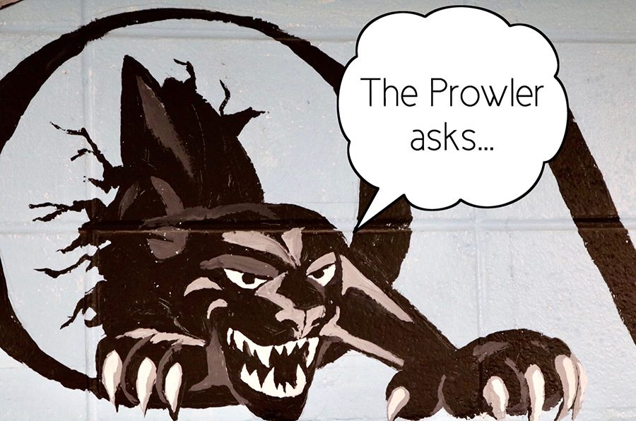 In the first post in this column, The Prowler encourages readers to engage in an online discussion regarding why vapes appeal to teens.