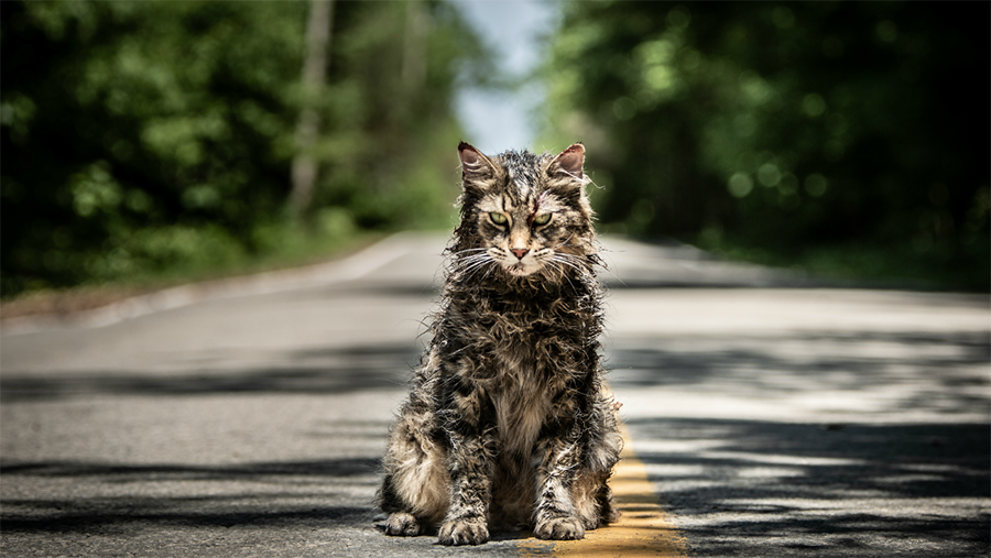 Church the cat, after his resurrection, returns changed for the worse in the reboot of “Pet Sematary.” Thankfully, only Church returned from the grave worsened: this movie does not.