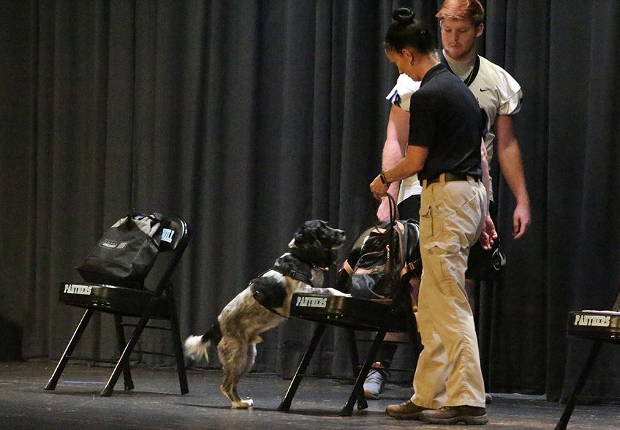 Jerry, one of the search dogs that Interquest will use at Starr’s Mill, demonstrates his ability on stage. Interquest is a detection program whose goal is to reduce the presence of drugs, alcohol, and weapons on school campuses.
