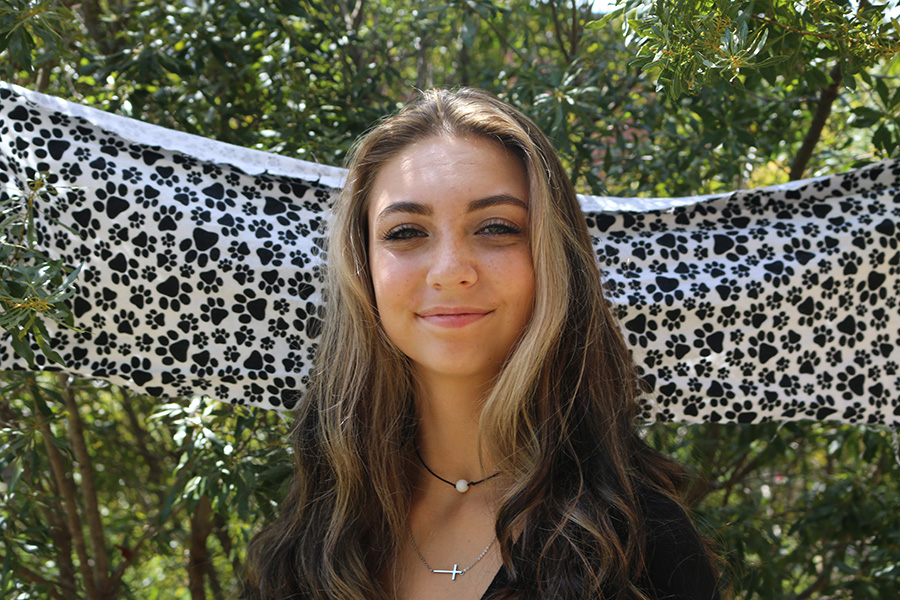 Abby Carter