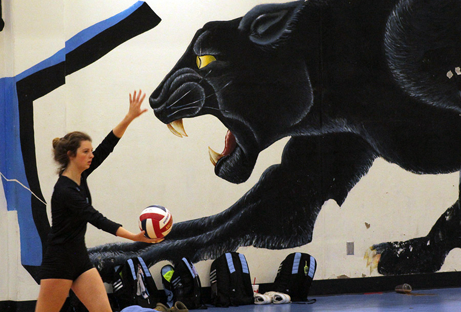 Junior Joy Johnson serves the ball. Starr’s Mill split region matches against Griffin and McIntosh.  The Panthers had an easy game against Griffin, winning 25-4 and 25-5. However, Starr’s Mill struggled on serve receive during the McIntosh match losing 25-21 and 25-14.