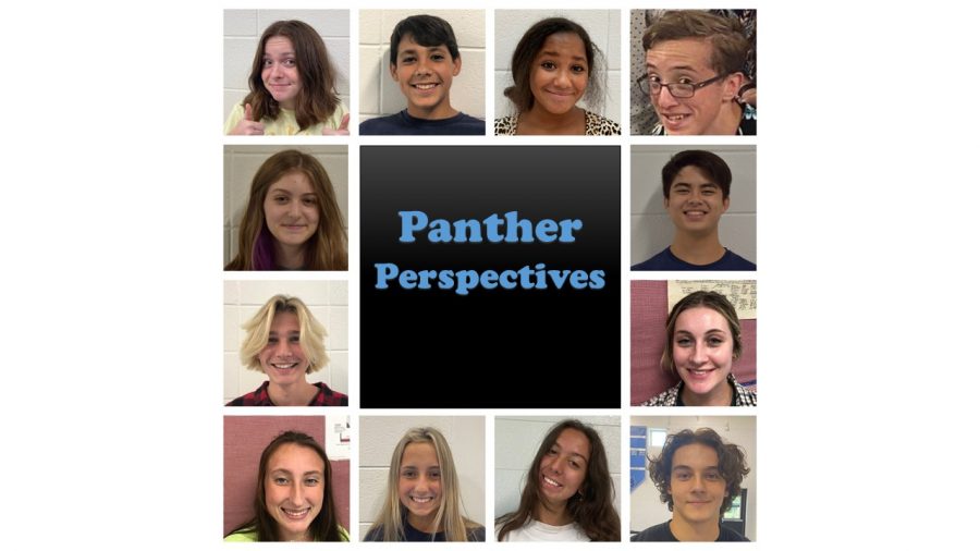 Panther Perspectives