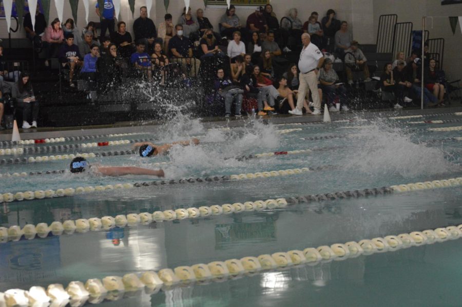 Senior+Seth+Roach+and+Carter+Heim+race+in+the+200-yard+butterfly+at+the+Paw+Power+Invitational.+Roach+finished+first+with+Heim+placing+third.+++