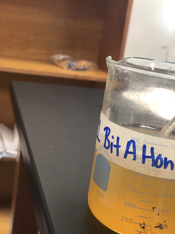 August 22, 2022 - Freshman experiment with liquids in Austin Enriquez’s biology class. The lab helped students discover whether the substance contained a carbohydrate, lipid, or protein.