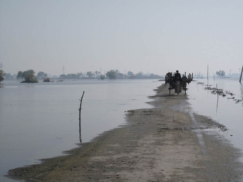 Since+June+14%2C+2022%2C+floods+in+Pakistan+have+killed+over+1%2C500+people.+Many+villages+and+towns+have+been+submerged+underwater%2C+leaving+millions+in+a+state+of+hunger+and+needing+to+seek+medical+attention.