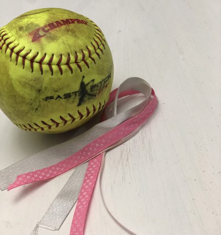 September 15, 2022 - Softball pinks out! In their game against Trinity, Starr’s Mill softball wore pink for Breast Cancer Awareness. Panther softball lost to Trinity 8-0. 