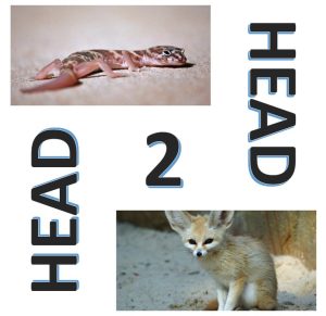 Head 2 Head