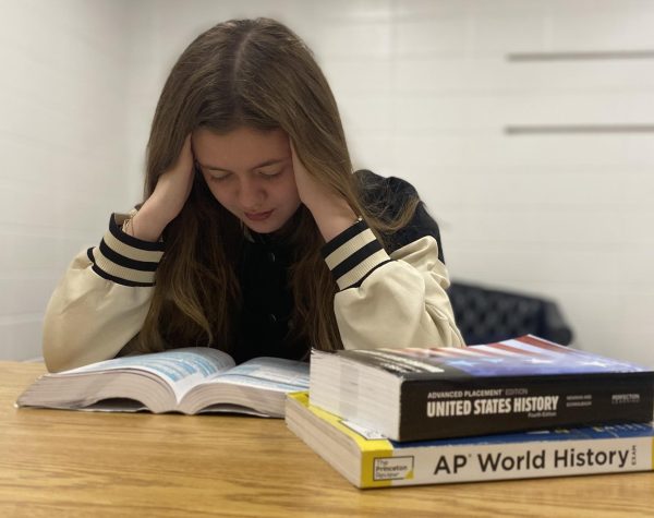 There is currently a cap on the amount of Advanced Placement classes students can take. Removing the cap allows for students to reach their full potential and truly flourish in academics. However, keeping the limit maintains student mental health while allowing them to take classes based on their interests.