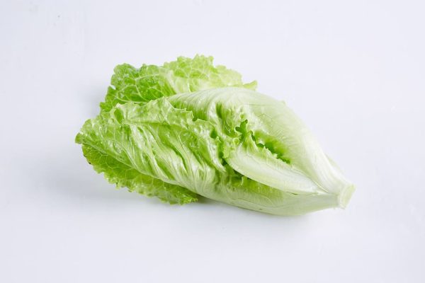 Lettuce has many benefits as well as detriments. Lettuce can have negative consequences on people’s digestion as well as makes their food soggy, but it offers a satisfying crunch as well as numerous health benefits.