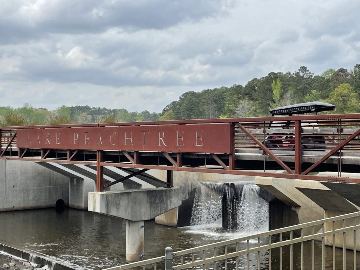 Peachtree City is home to golf carts, golf courses, outdoor shopping malls, and 100 miles of trails. This segment explores the importance and role of nature and talks about how to identify, maintain, and safely observe the wildlife found in Peachtree City.