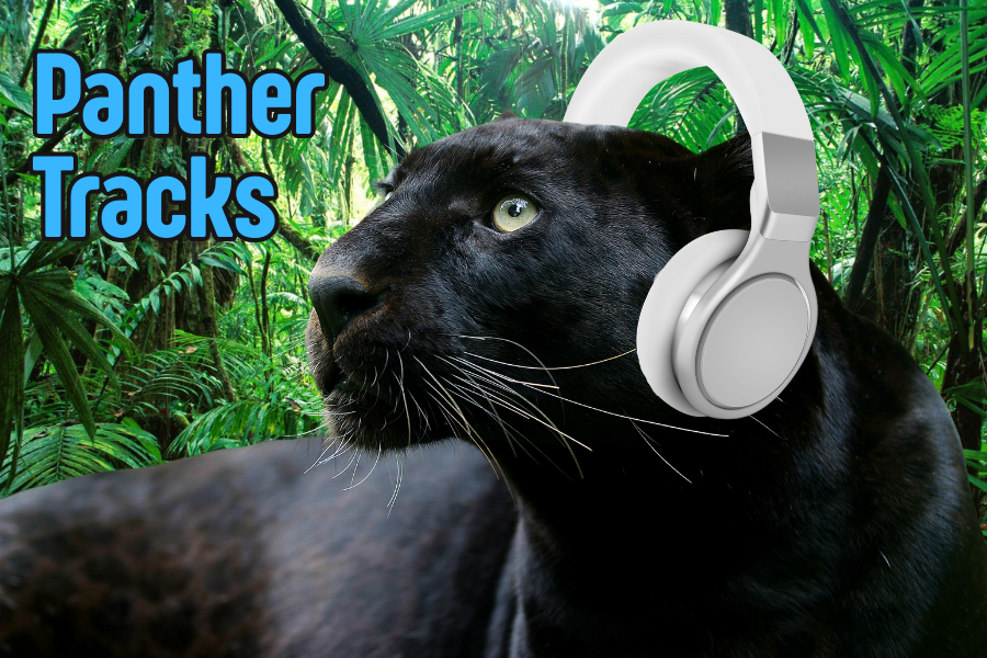 Panther Tracks