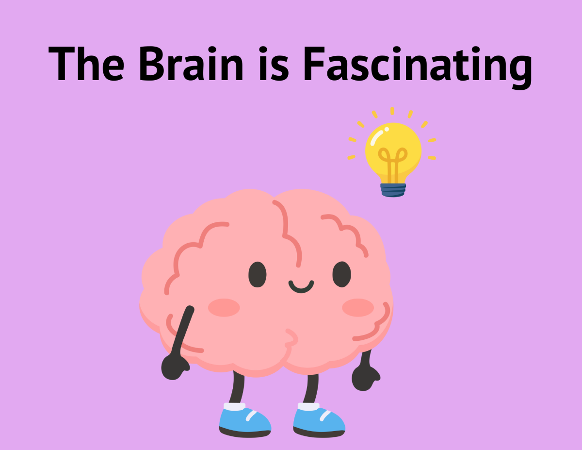 The brain is always actively working in ways beyond our imagination. It keeps us striving, thriving, and surviving in insane ways we never take a moment to realize. 